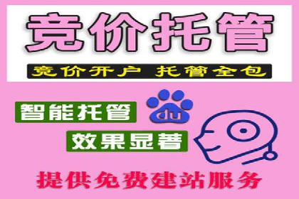 SEM代理助力企业：成功案例分析
